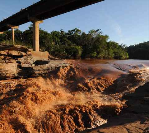 Rio Doce começa a apresentar sinais de vida sob a lama de Mariana